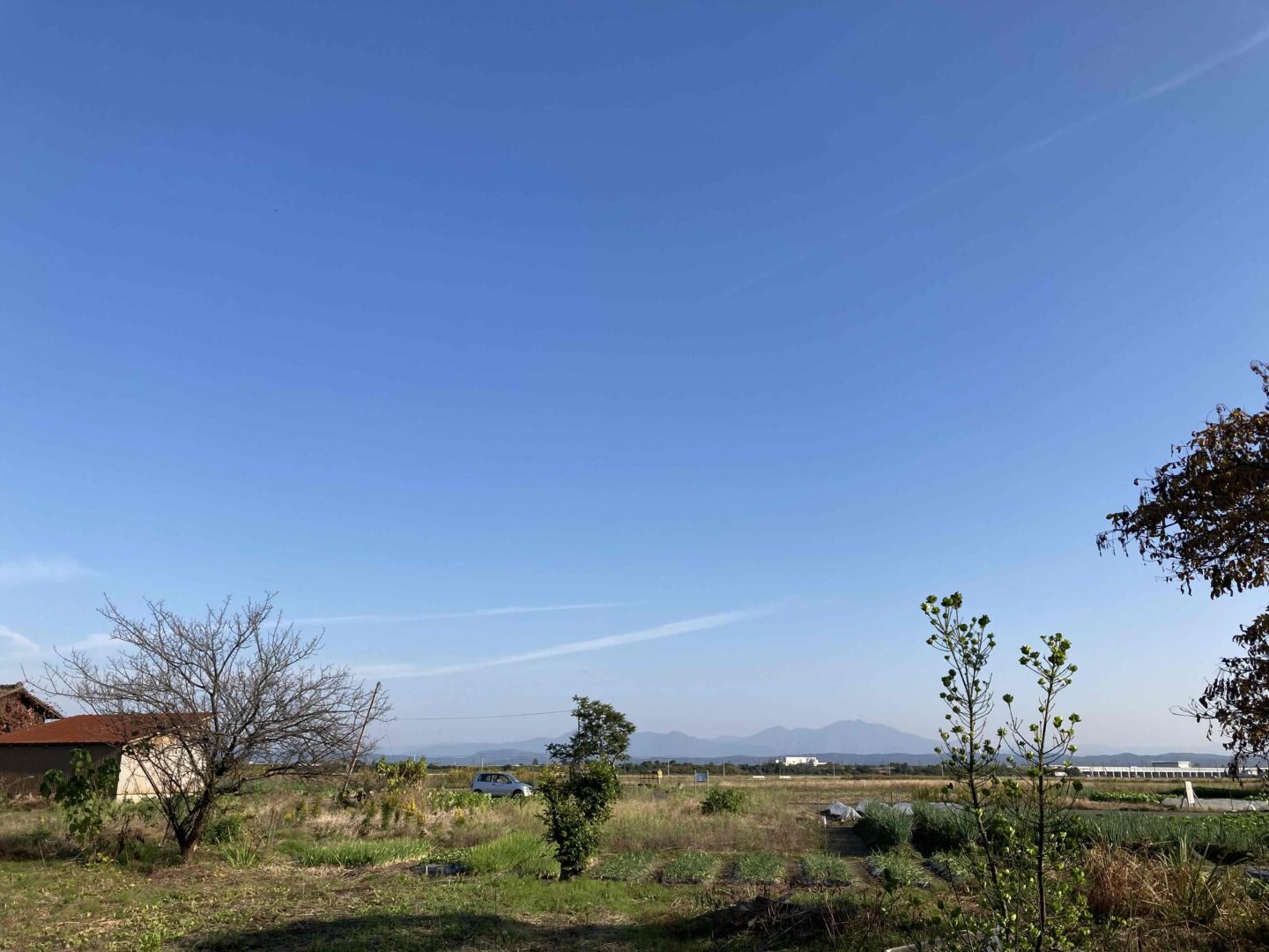 裏の敷地部分 裏の敷地部分