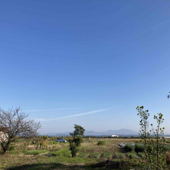 裏の敷地部分 裏の敷地部分