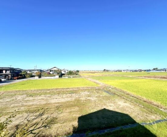 周辺環境 周辺環境